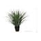 25.5" Agave UV Plant by Ashland®